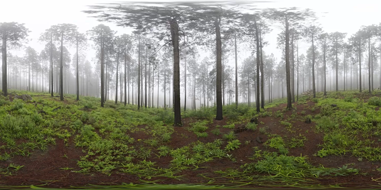 HDRI – HDRI 72