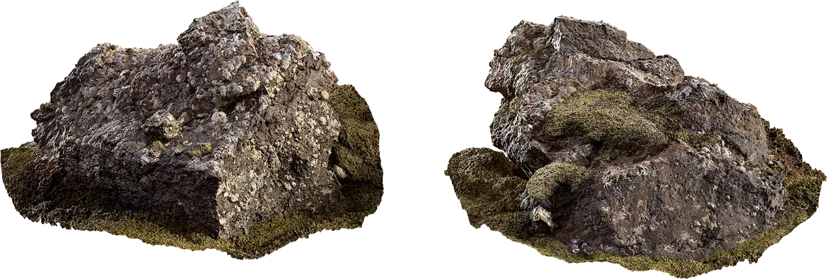 3D MODELS FREE DOWNLOAD 