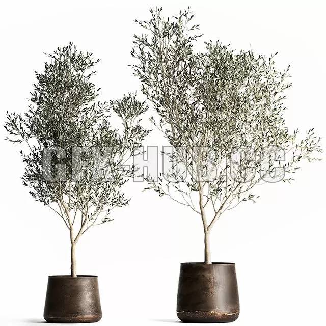 3D MODELS FREE DOWNLOAD 