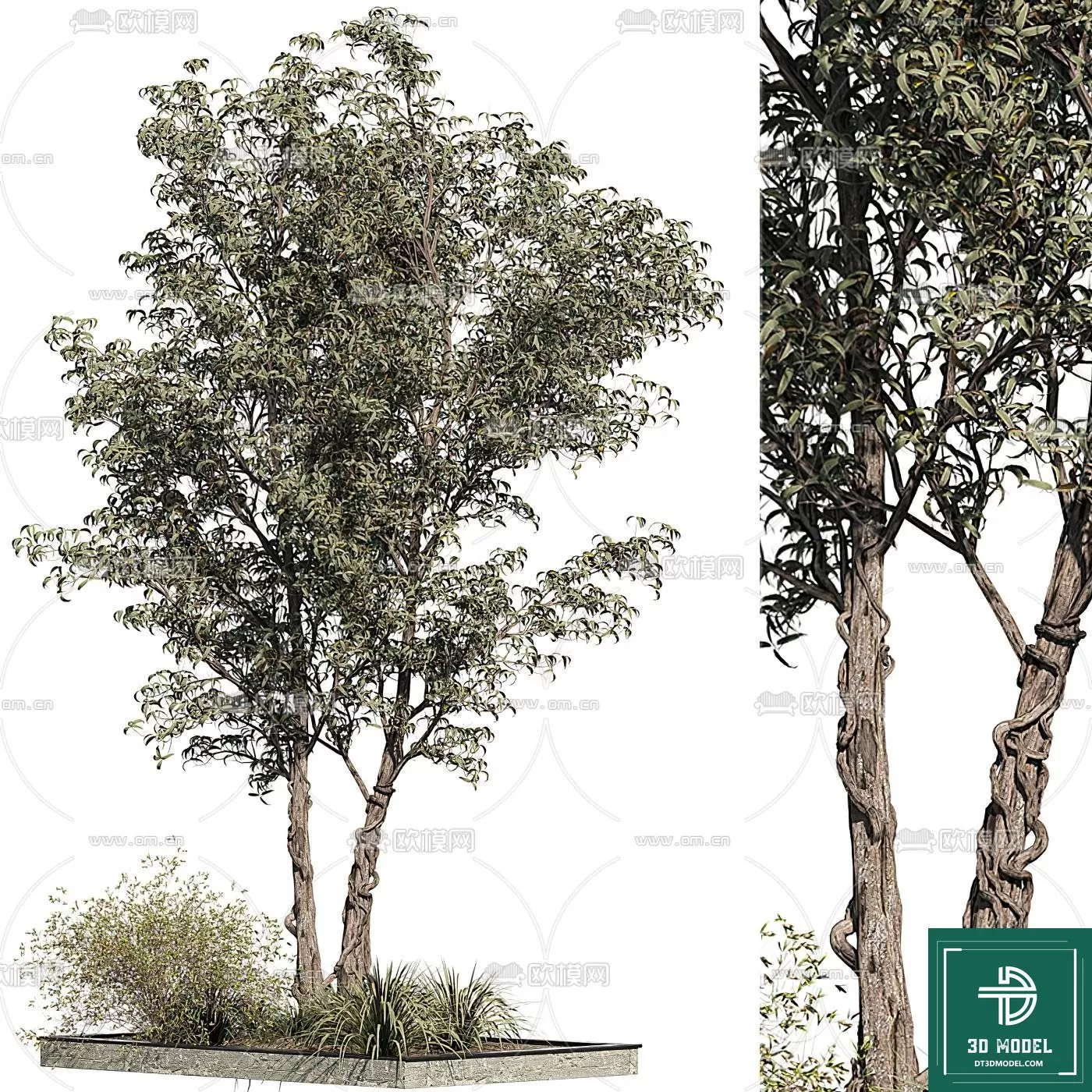 3D MODELS FREE DOWNLOAD 