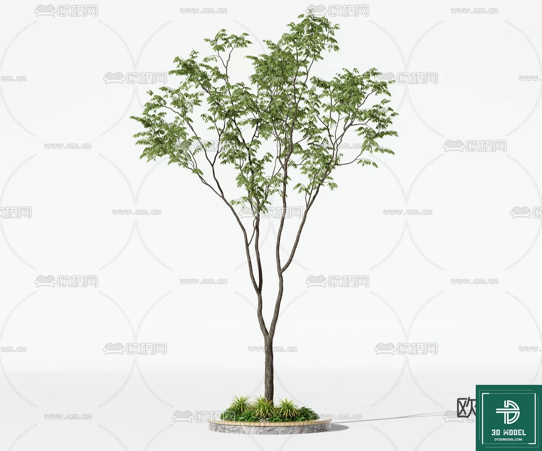 3D MODELS FREE DOWNLOAD 
