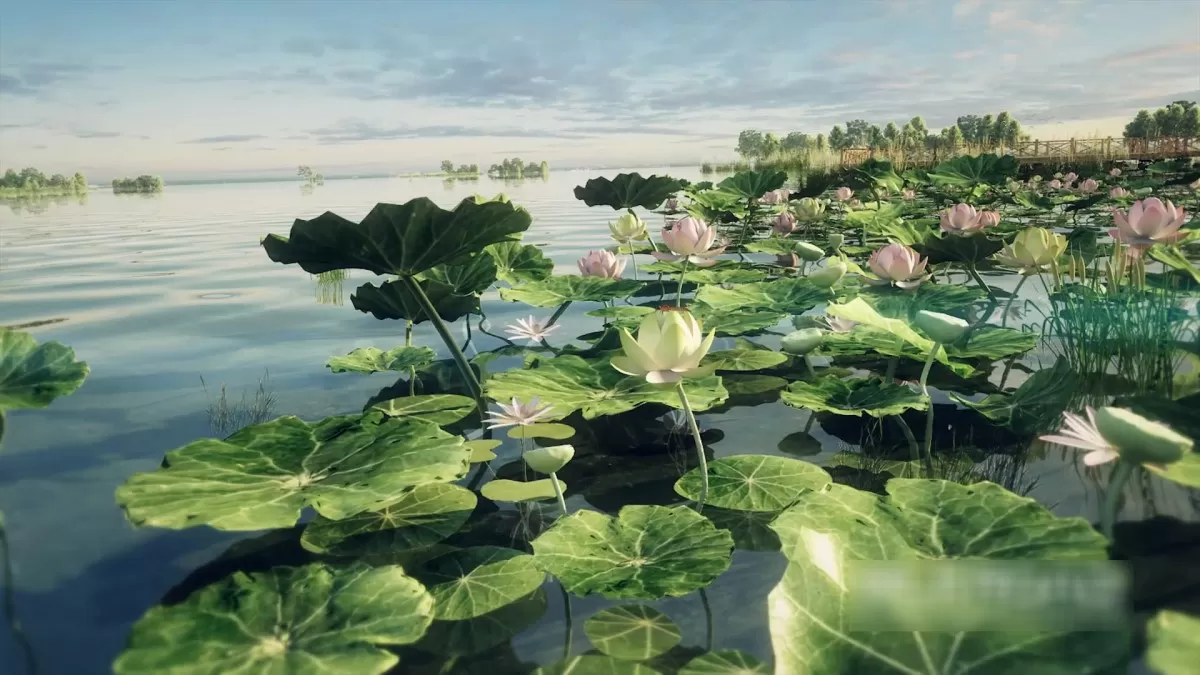 EXTERIOR – ANIMATION – 3DS MAX – 370