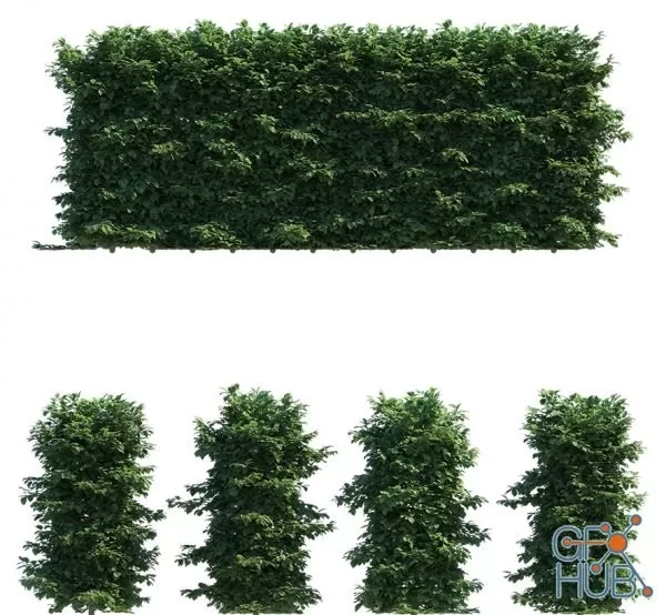 3D MODELS FREE DOWNLOAD 