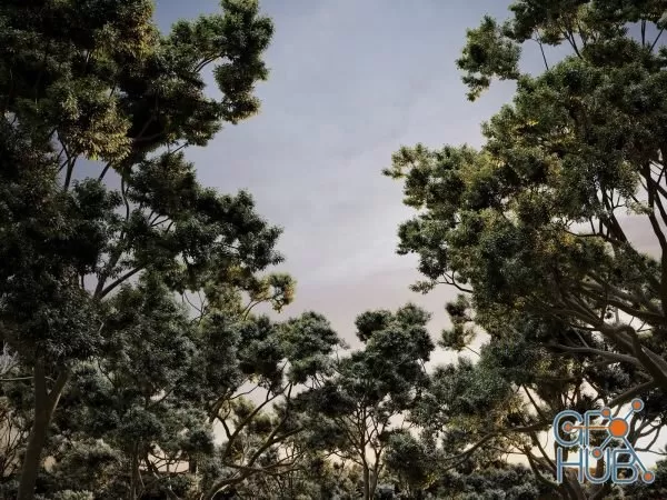 3DSKY FREE - FREE 3DS MAX MODELS