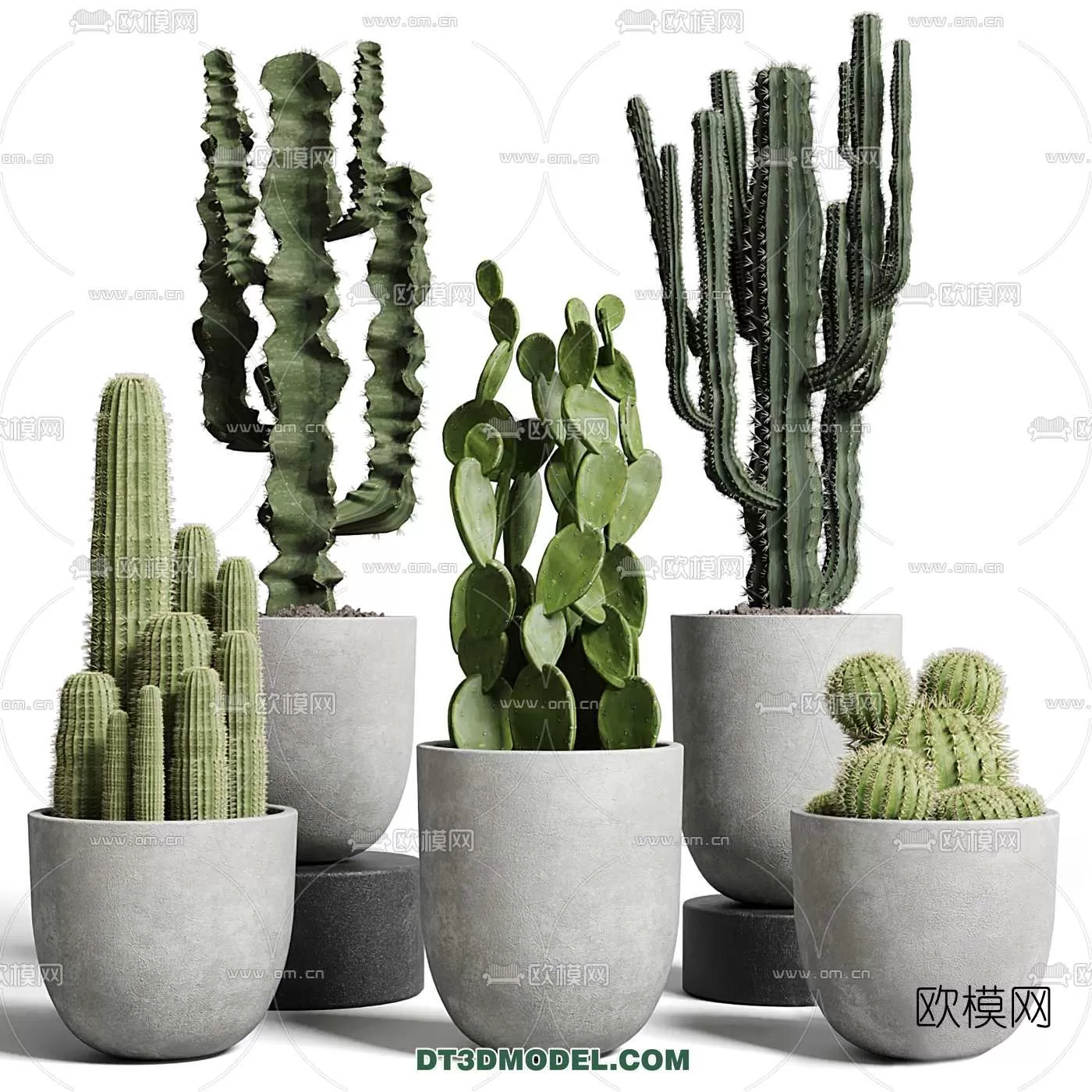 3D MODELS FREE DOWNLOAD 