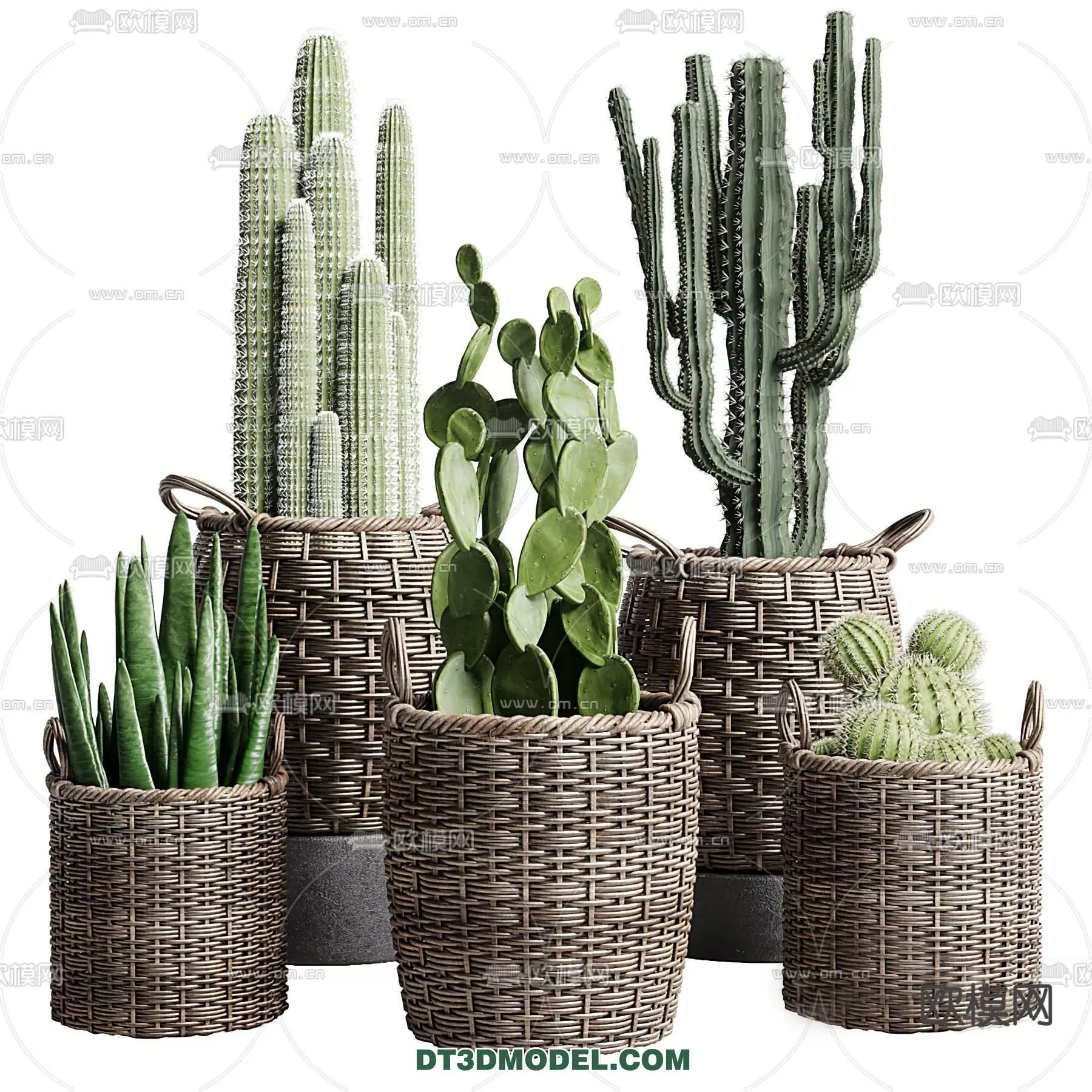 3D MODELS FREE DOWNLOAD 