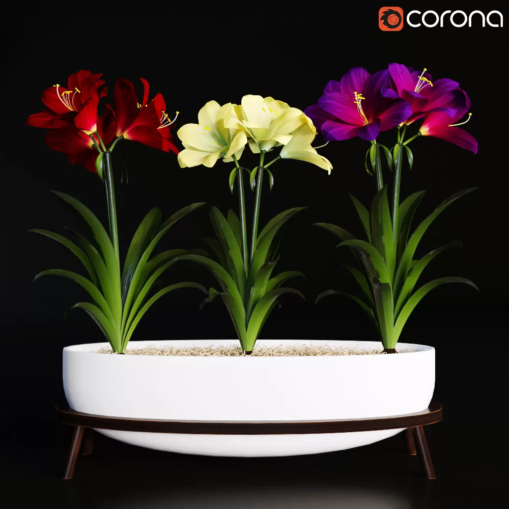 3DSKY FREE – FREE 3DS MAX MODELS