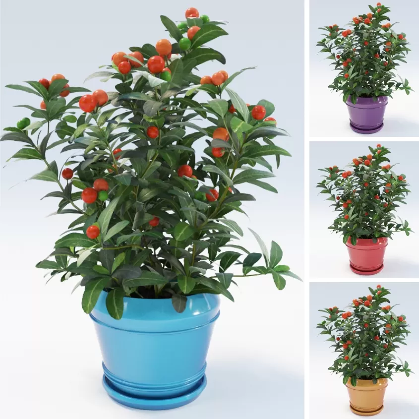 3DSKY FREE – FREE 3DS MAX MODELS