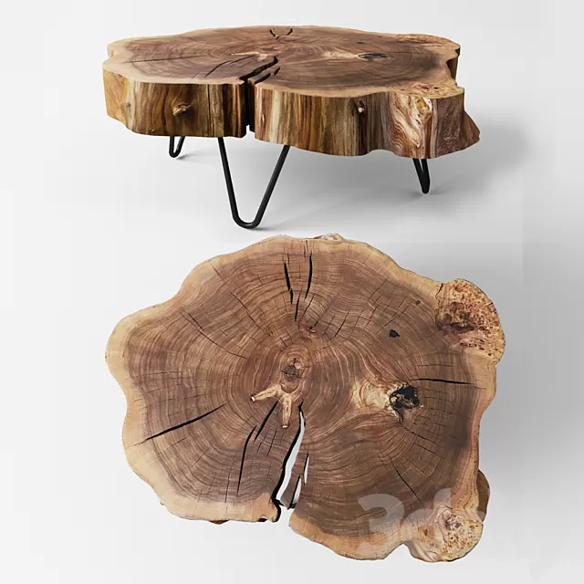 Table 3D Models – Coffee table of elm cut