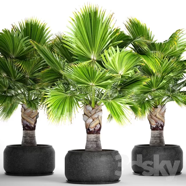 3D MODELS FREE DOWNLOAD 