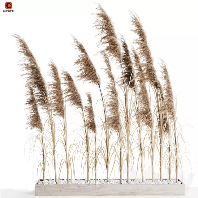Decorative – Set – 3D Models – 0296