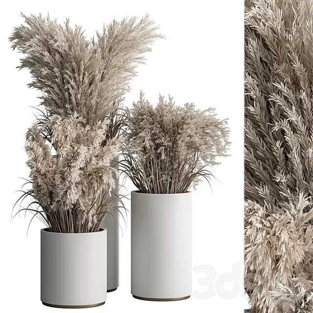 3D MODELS FREE DOWNLOAD