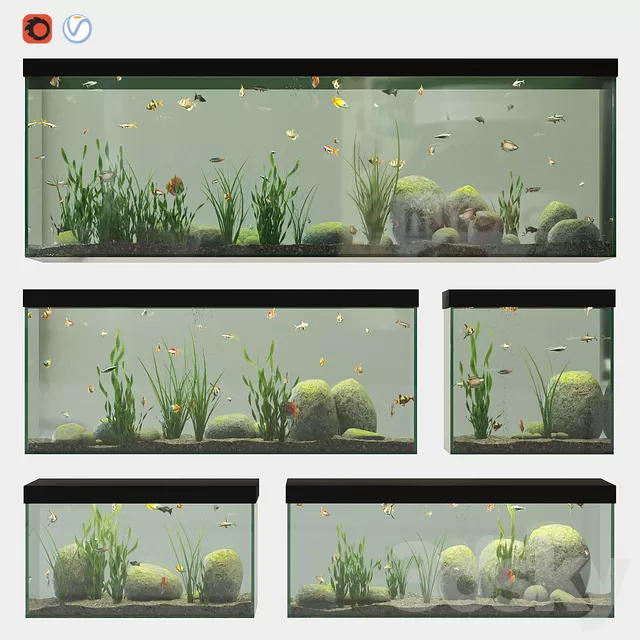 Other Decorative Objects – 3D Models – Set of aquariums