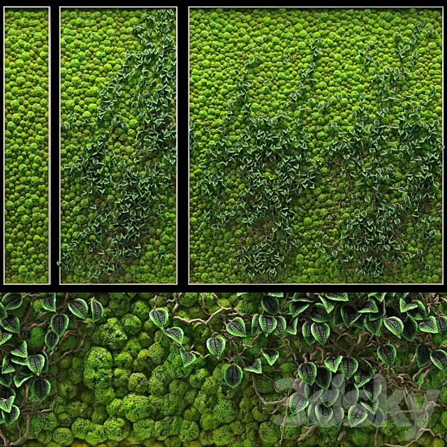 Plants – Flowers – 3D Models Download – 0069