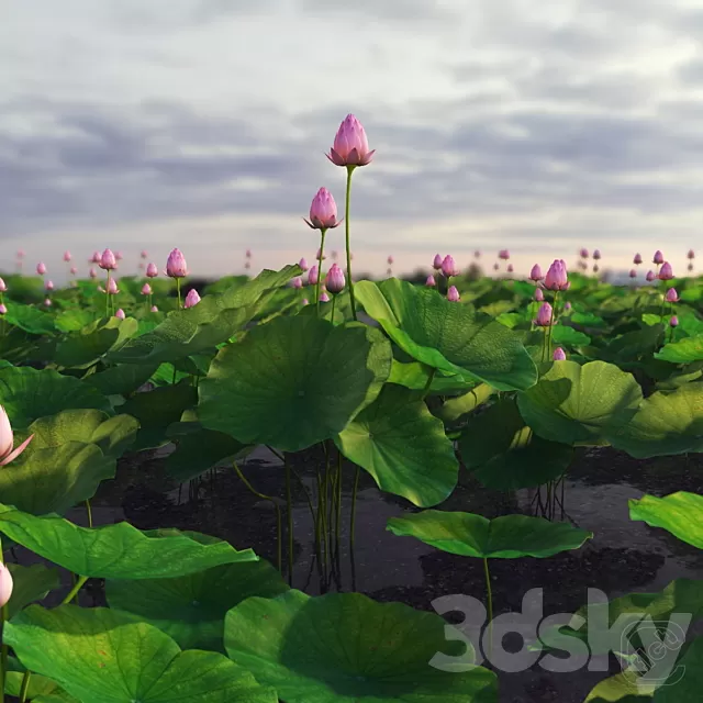 3DSKY FREE - FREE 3DS MAX MODELS