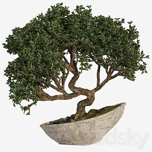 3D MODELS FREE DOWNLOAD