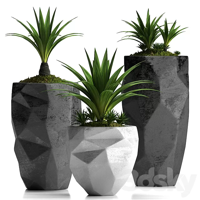 3D MODELS FREE DOWNLOAD