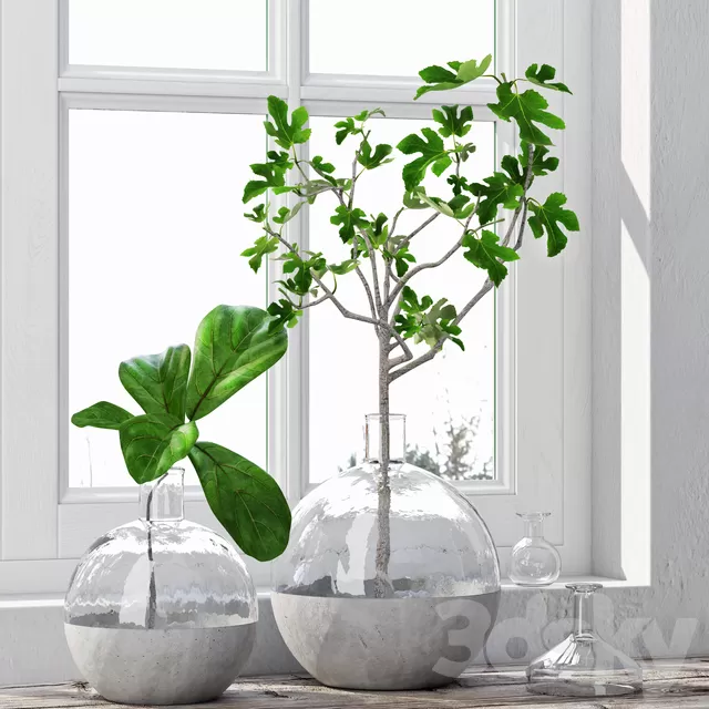 Plants – Flowers – 3D Models Download – 0593