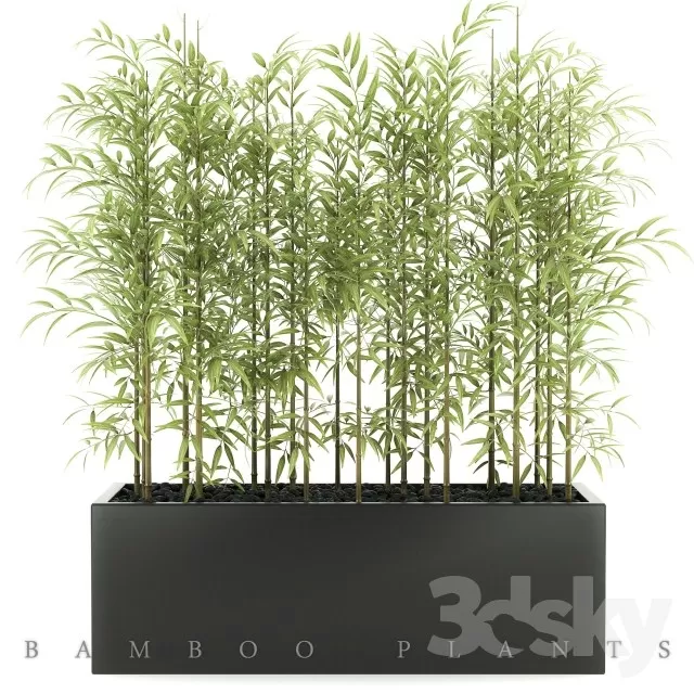 Plants – Flowers – 3D Models Download – 0606
