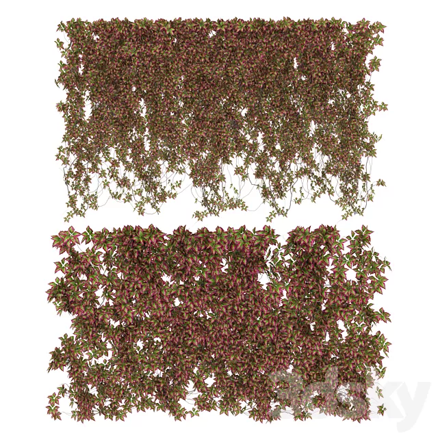 Plants – Flowers – 3D Models Download – Wall of wild grapes leaves v3 (max; fbx)