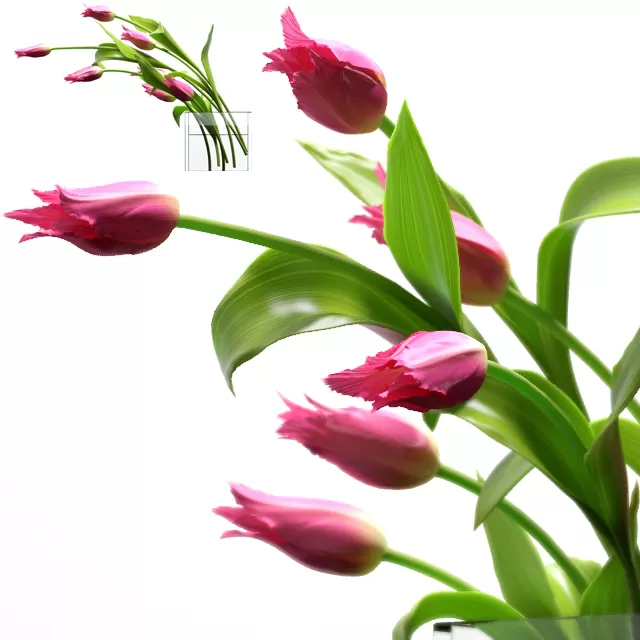 3DSKY FREE – FREE 3DS MAX MODELS