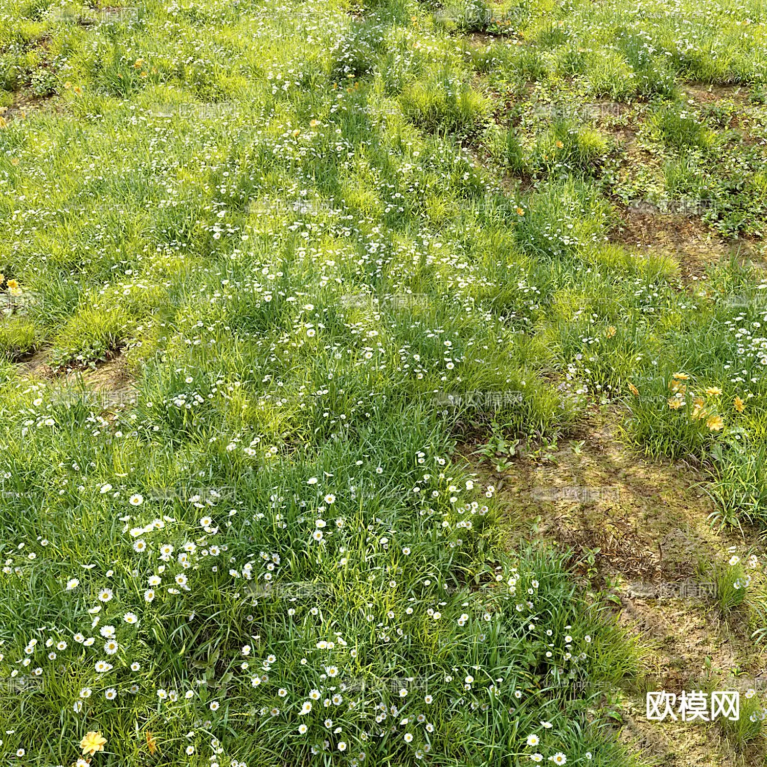 3DSKY FREE - FREE 3DS MAX MODELS