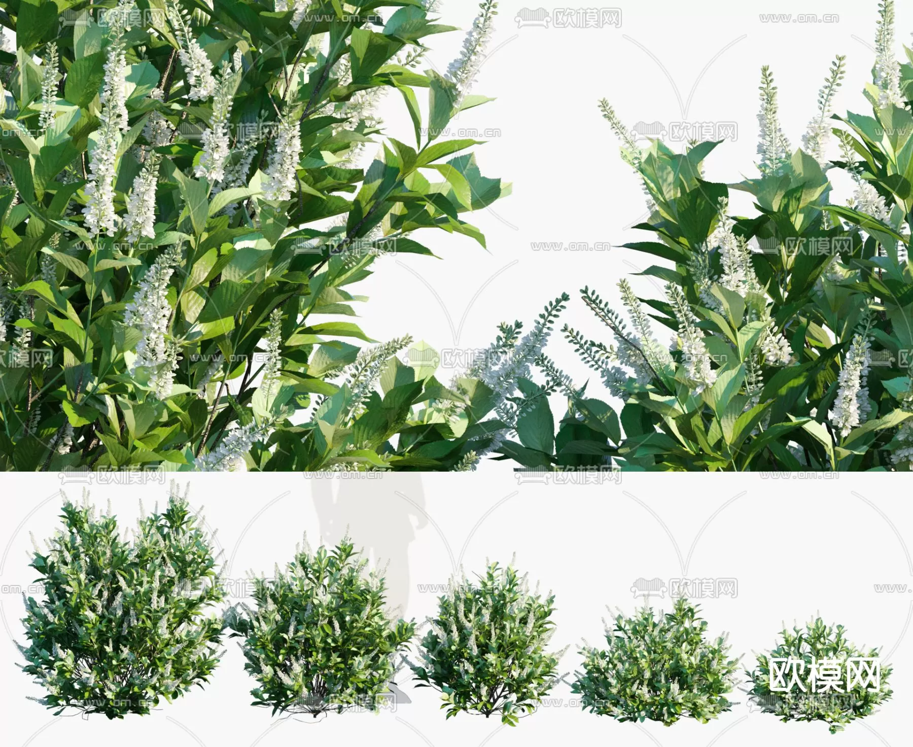 Plants and Flower – 3D Modesl – 0380