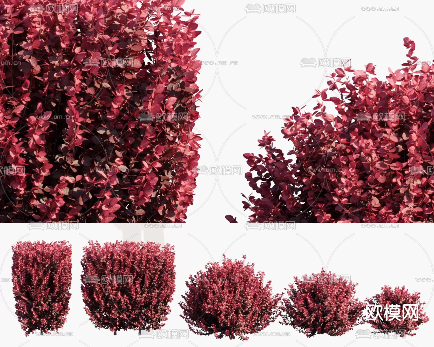 3D MODELS FREE DOWNLOAD