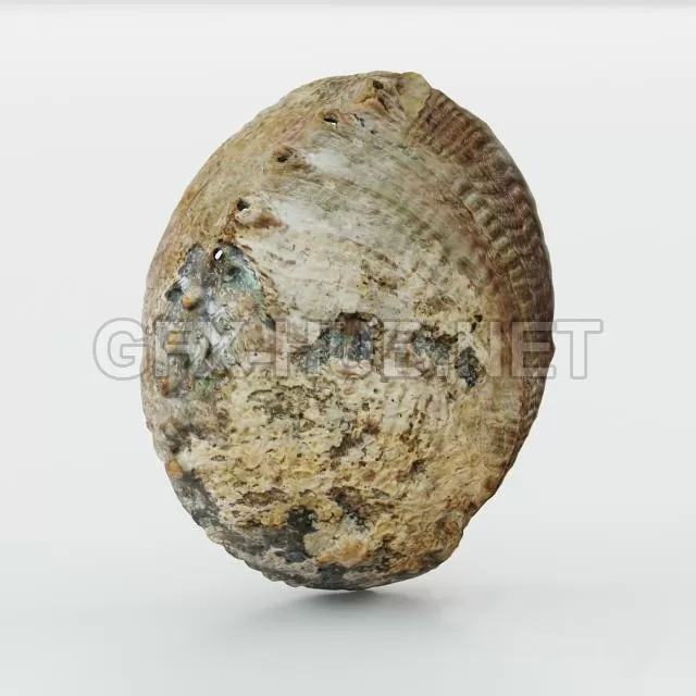 3DSKY FREE – FREE 3DS MAX MODELS