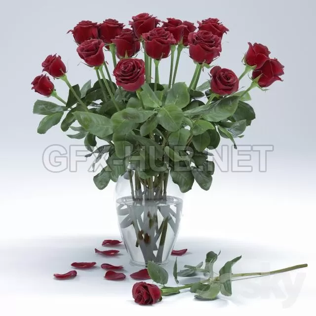 3D MODELS FREE DOWNLOAD 
