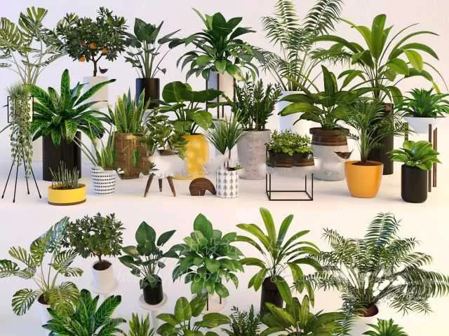 Plants and Flowers – 3Ds Models – 0377