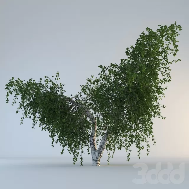 3D MODELS FREE DOWNLOAD 