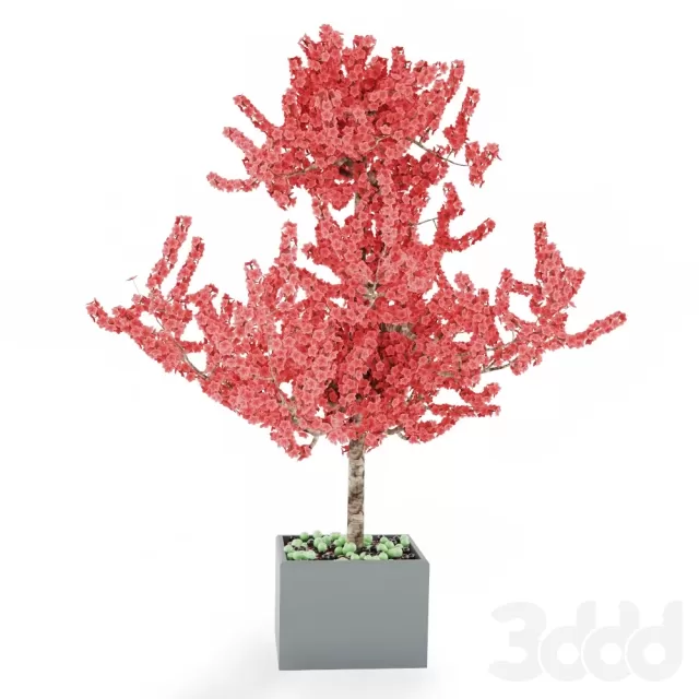 3DSKY FREE – FREE 3DS MAX MODELS