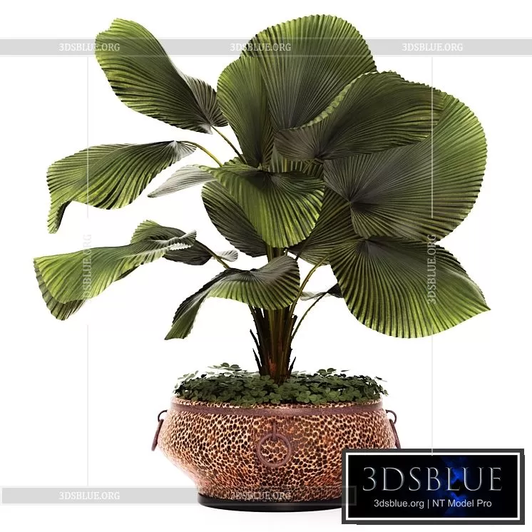 3DSKY MODELS - NEW - 7125