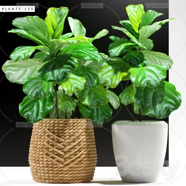 3DSKY PRO MODEL - PLANT 3D MODELS