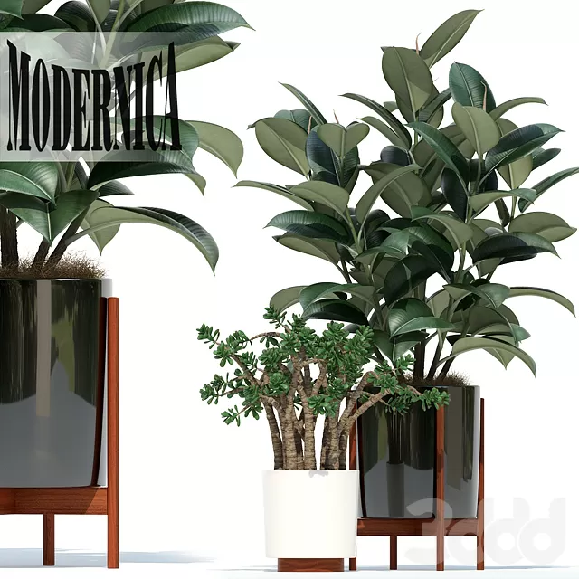 3DSKY PRO MODEL - PLANT 3D MODELS