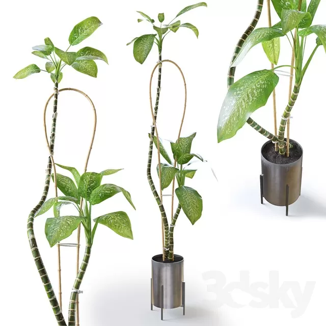 3DSKY PRO MODEL - PLANT 3D MODEL 