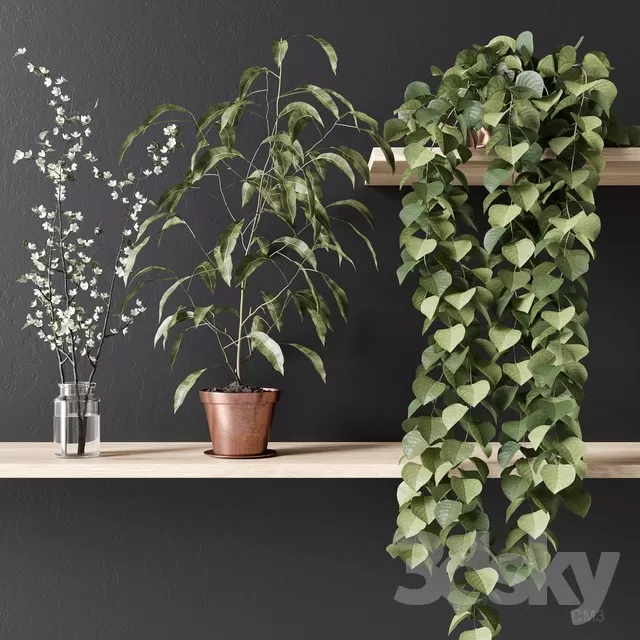 3DSKY PRO MODEL - PLANT 3D MODEL 