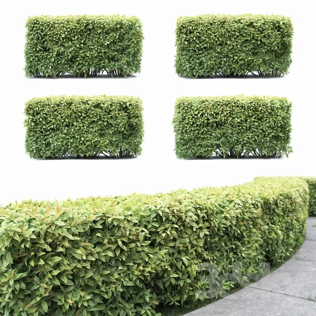 3DSKY PRO MODEL - PLANT 3D MODEL 