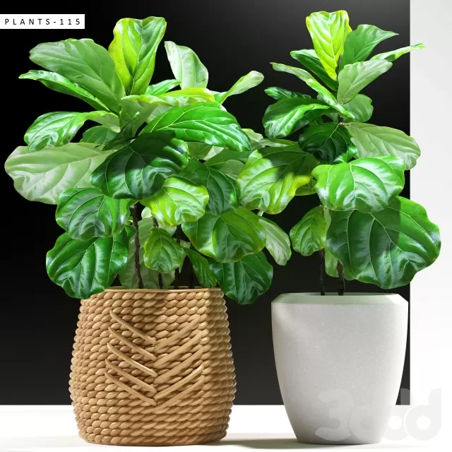3DSKY PRO MODEL - PLANT 3D MODELS
