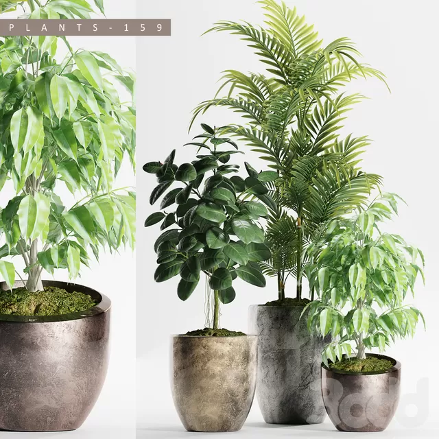 3DSKY PRO MODEL - PLANT 3D MODELS