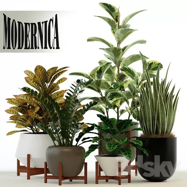 3DSKY PRO MODEL - PLANT 3D MODELS