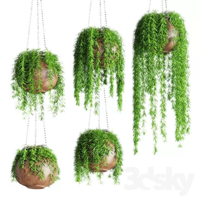 3DSKY PRO MODEL - PLANT 3D MODELS
