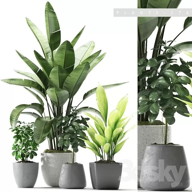 PLANT 3D MODELS – FLOWER 3D MODELS – 149