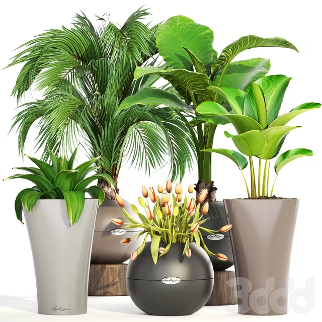 3DSKY PRO MODEL - PLANT 3D MODELS