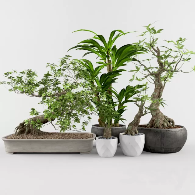 3DSKY PRO MODEL - PLANT 3D MODELS