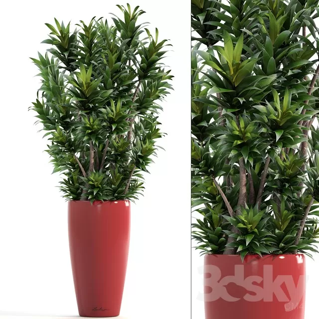 3DSKY PRO MODEL - PLANT 3D MODELS