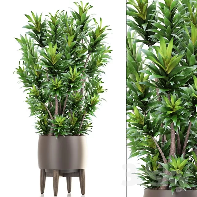 PLANT 3D MODELS – FLOWER 3D MODELS – 162