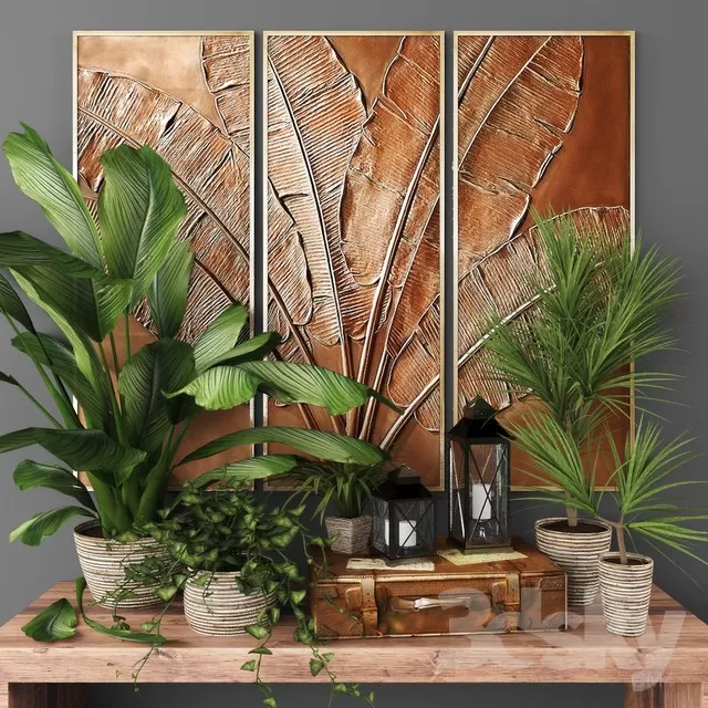 3DSKY PRO MODEL - PLANT 3D MODELS