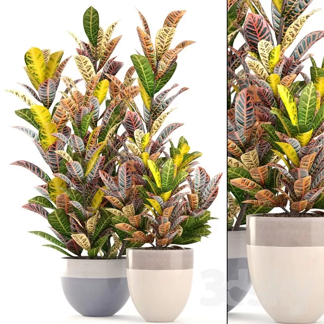 3DSKY PRO MODEL - PLANT 3D MODEL 